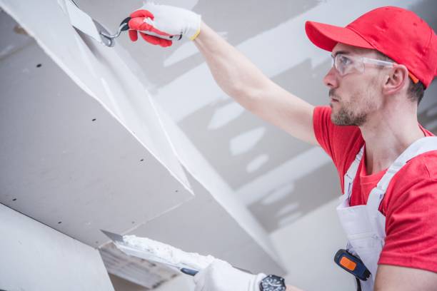 Trusted Orland Park, IL Drywall & Painting Services Experts